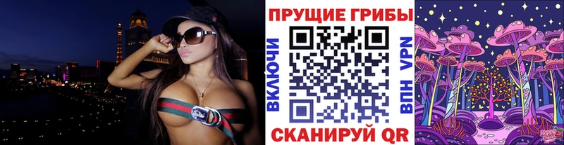 где можно купить   Барнаул  Галлюциногенные грибы прущие грибы 