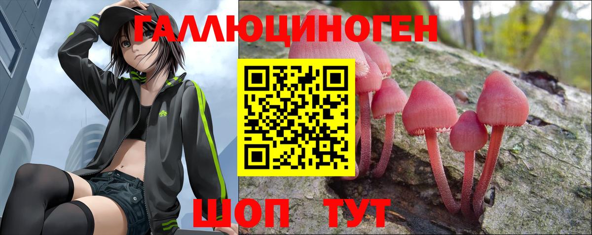 Барнаул  Псилоцибиновые грибы Cubensis  Вход с VPN 