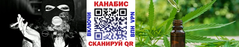 Бошки марихуана план  где найти наркотики  Барнаул 